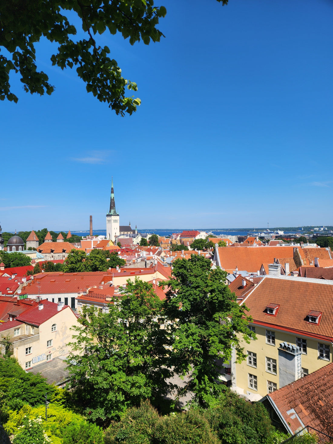 Day 12 - Exploring The Old Town